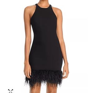 Likely Mora Feather Hemmed Dress (Size 6)